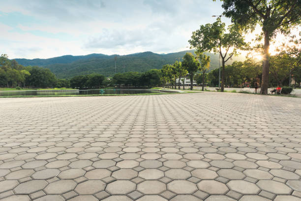 Best Decorative Driveway Pavers  in Atasdero, CA