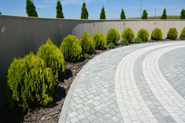 Reasons to Select Us for Your Driveway Paving Requirements in Atascadero, CA